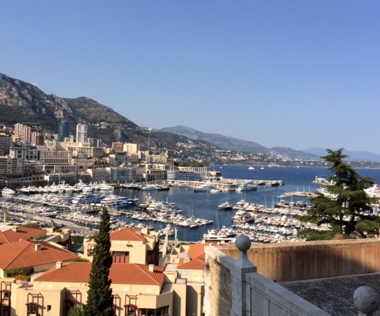 Report from the FRHI Global Meeting Exchange in Monte Carlo
